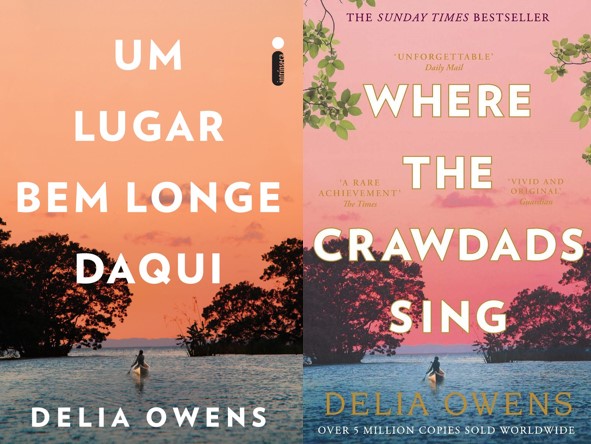 Um lugar bem longe daqui - Delia Owens (Where The Crawdads Sing)